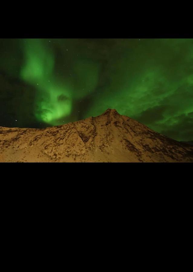 Gryllefjord Senja Villa מראה חיצוני תמונה
